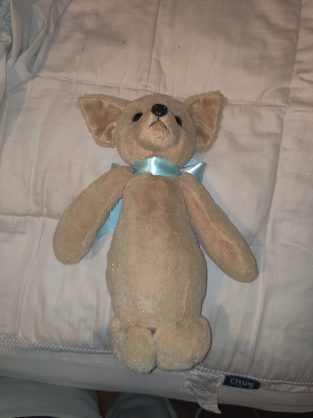 The Bearington Collection Chihuahua with Light Blue Ribbon